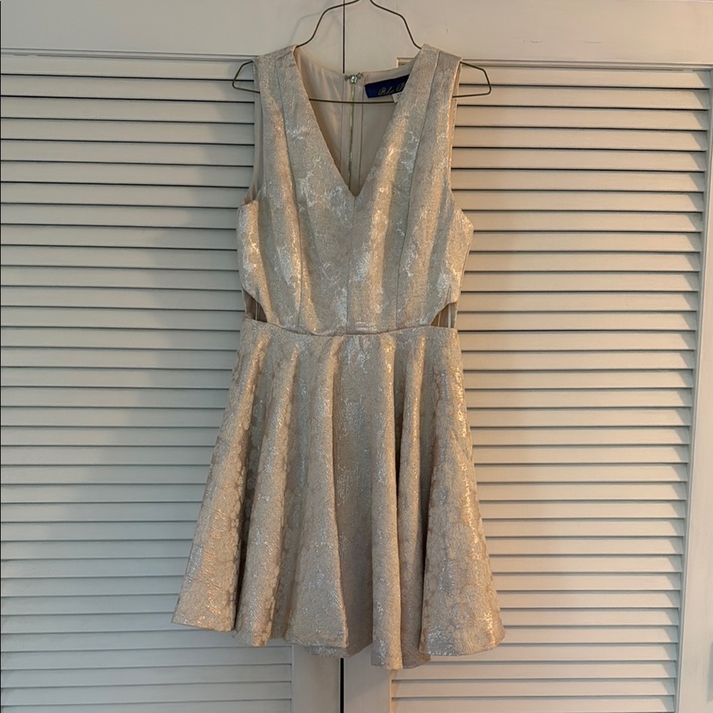 Blue Rain Gray Pleated Fit and Flare Mini Dress